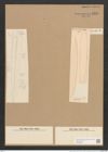 Amphiprora longa Cleve (de-Toni-Nr.: Genus 29, Species 1312) Zeichnungen Sammlung Grunow Nr. 2525 (NHMW-BOT-W0369693)